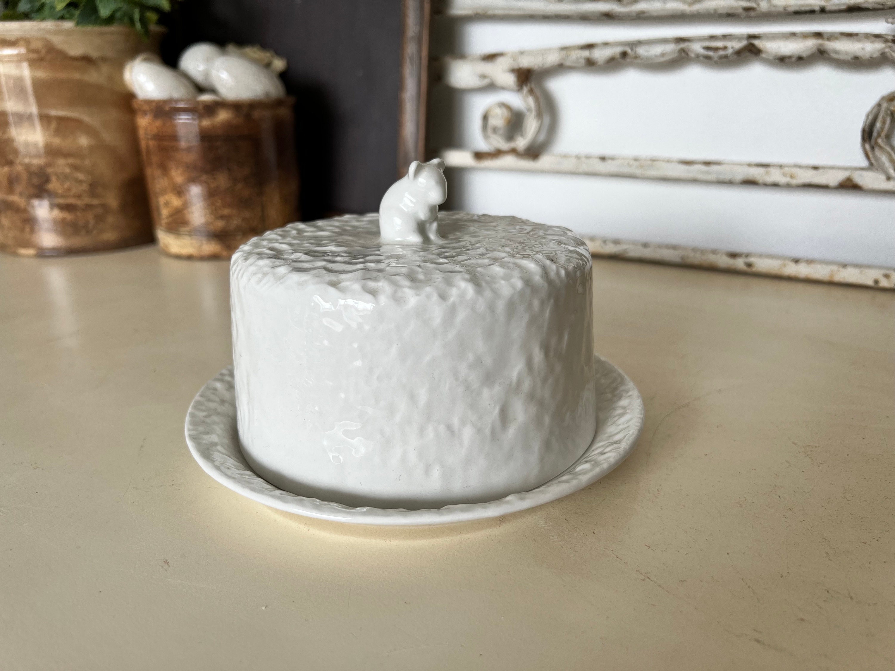 Seitwärts Verfärben Fettleibigkeit käseplatte mit deckel Sprich mit In ...