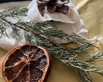 Yule Wishing Cone Spell Kit