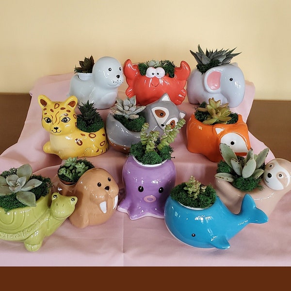 Ceramic Animal Planters with Live Succulents, Gift, Elephant Cat Whale Fox Walrus Turtle Jaguar Crab Seal Octopus Raccoon Sloth Pot