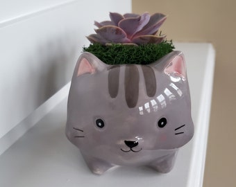 Cat Planter with Succulent, live Echeveria plant, 5" grey glazed ceramic Kitty Kitten animal pot