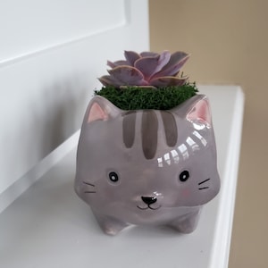 Cat Planter with Succulent, live Echeveria plant, 5" grey glazed ceramic Kitty Kitten animal pot