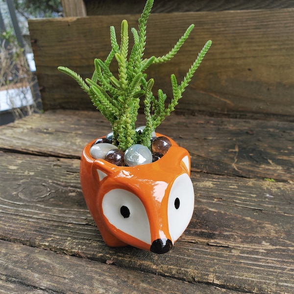 Succulent in Fox Planter, 5" Orange Ceramic Pot with Watch Chain Plant, Crassula muscosa, and glass gems