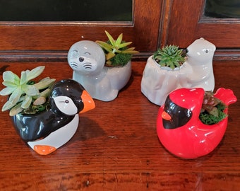 Winter Animal Planters with Succulents, Cardinal, Puffin, Polar Bear, Seal, Succulent Gift for Plant Lovers, Succulent Planter