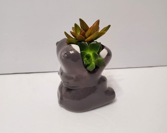 Hippo Planter with Live Succulent, Hippopotamus, Animal Planter, House Plant Gift, Hippo Planter, Succulent Planter