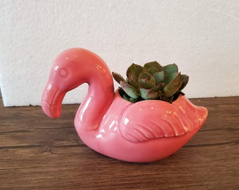 Pink Flamingo Planter with Succulent, Potted Succulents, Succulent Gift, Echeveria, Animal Planter, Bird Planter, Flamingo Gifts