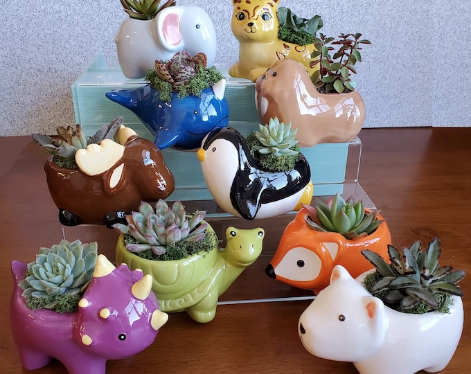 Ceramic Animal Planters with Live Succulents, Gift, Elephant Cat Penguin Bear Whale Dino Fox Walrus Moose Turtle Jaguar