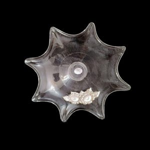 新品 イタリア製 銀製 写真立て Arval Argenti Valenza社製 Argenti