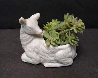 White Bisque Porcelain Deer Planter with Faux Succulent, Animal Planter, Goat Planter, Deer Plant Pot, Indoor Planter, Succulent Planter