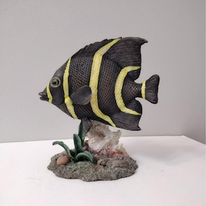 フレンチエンゼルフィッシュ 馬海鋒作 限定版フィギュア 618/5000 魚の
