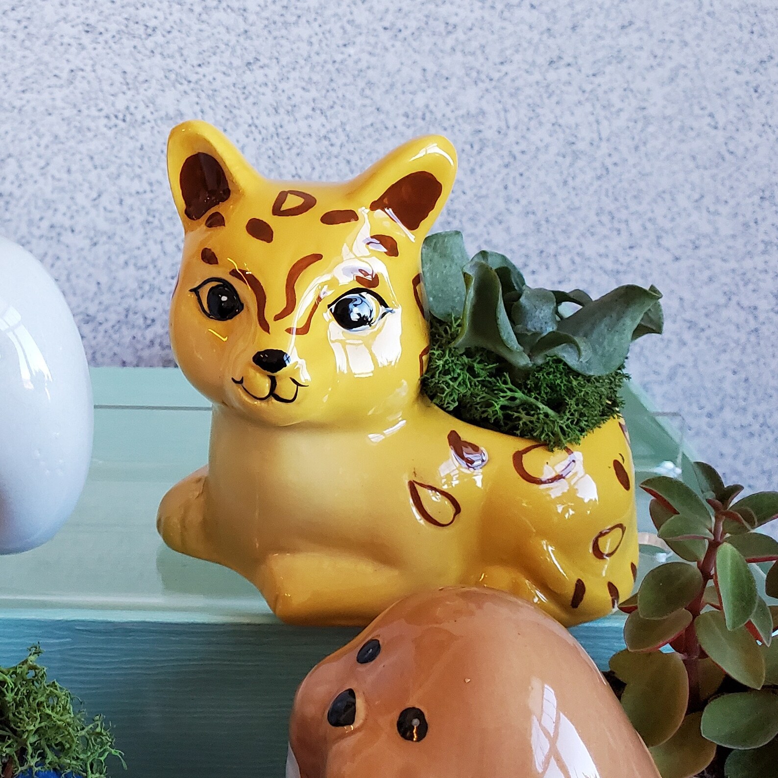 Ceramic Animal Planters With Live Succulents Gift Elephant Etsy