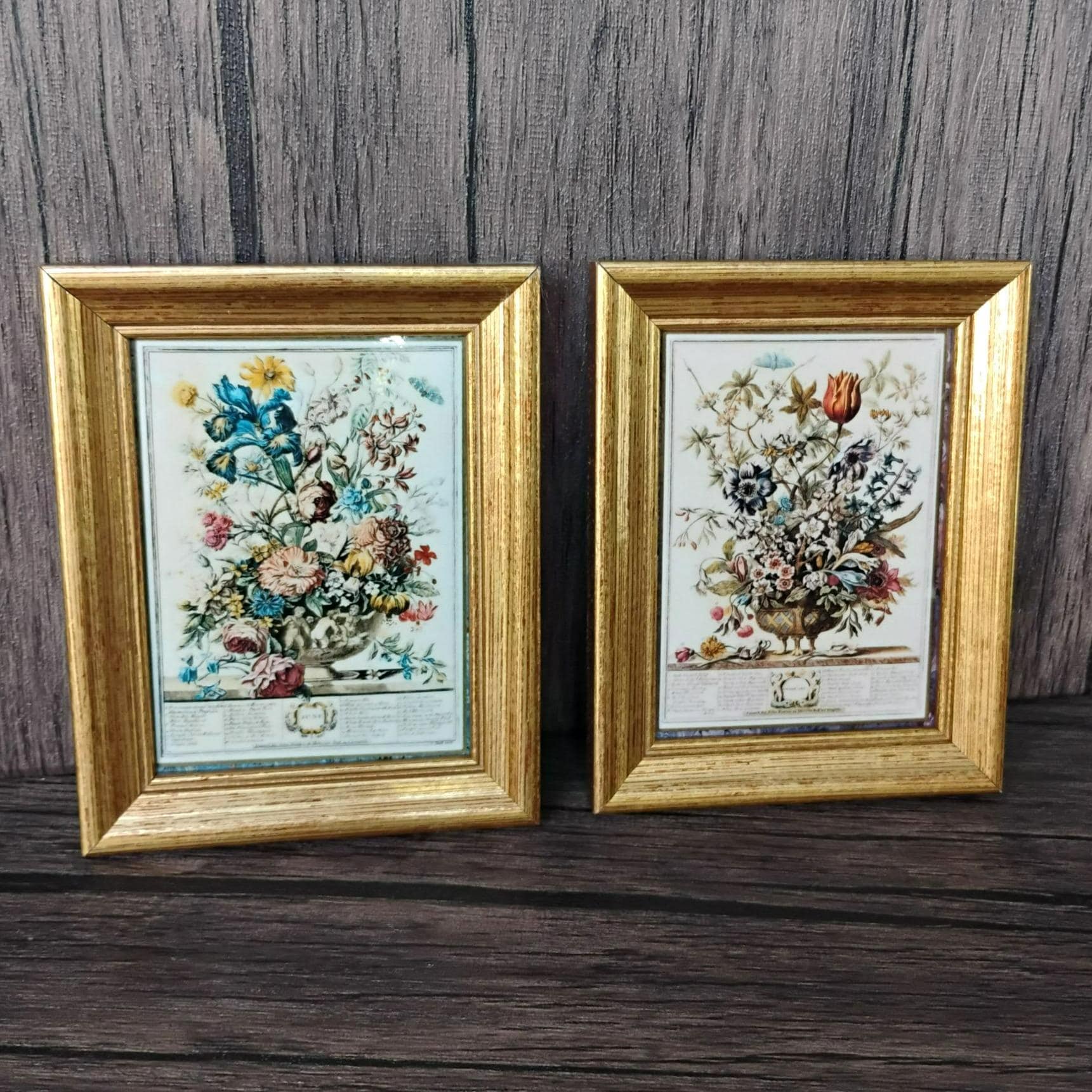 植物画 金色フレーム付き アンティーク Gold Frame Botanical Print - Etsy