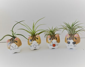 Cat Planter with Air Plant, Kitty Ceramic Pot with Emotion Face, Animal Planter, Succulent Planter, Airplant Holder