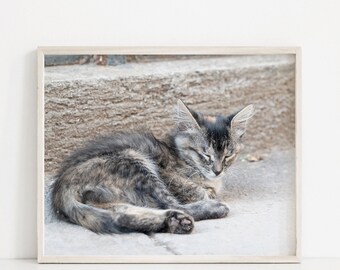 TÉLÉCHARGEMENT NUMÉRIQUE: Sleeping street Cats of Cuba, Landscape Photograph, Neutral Tone Animal Photography, Printable Wall Art