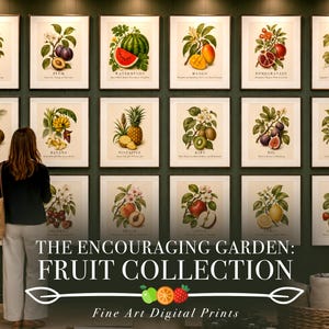 Op de afbeelding: Een galerijmuur met achttien ingelijste botanische fruitprints, waaronder peer, pruim, watermeloen, mango, granaatappel, druiven, kokosnoot, banaan, ananas, kiwi, vijg, sinaasappel, bosbes, kers, perzik, appel, citroen en aardbei.