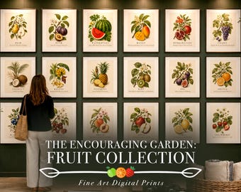 Peut inclure: Un mur de galerie présentant dix-huit impressions botaniques de fruits encadrées, incluant poire, prune, pastèque, mangue, grenade, raisin, noix de coco, banane, ananas, kiwi, figue, orange, myrtille, cerise, pêche, pomme, citron et fraise.