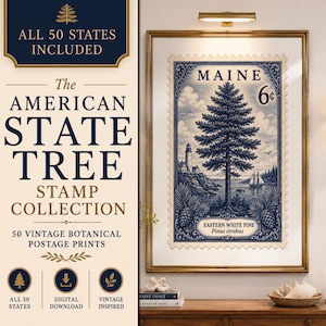 May include: A framed wall art print featuring a vintage-style postage stamp design of the Maine Eastern White Pine tree. The stamp includes the text MAINE, 6c, and Pinus strobus. The left side displays text: THE AMERICAN STATE TREE STAMP COLLECTION.