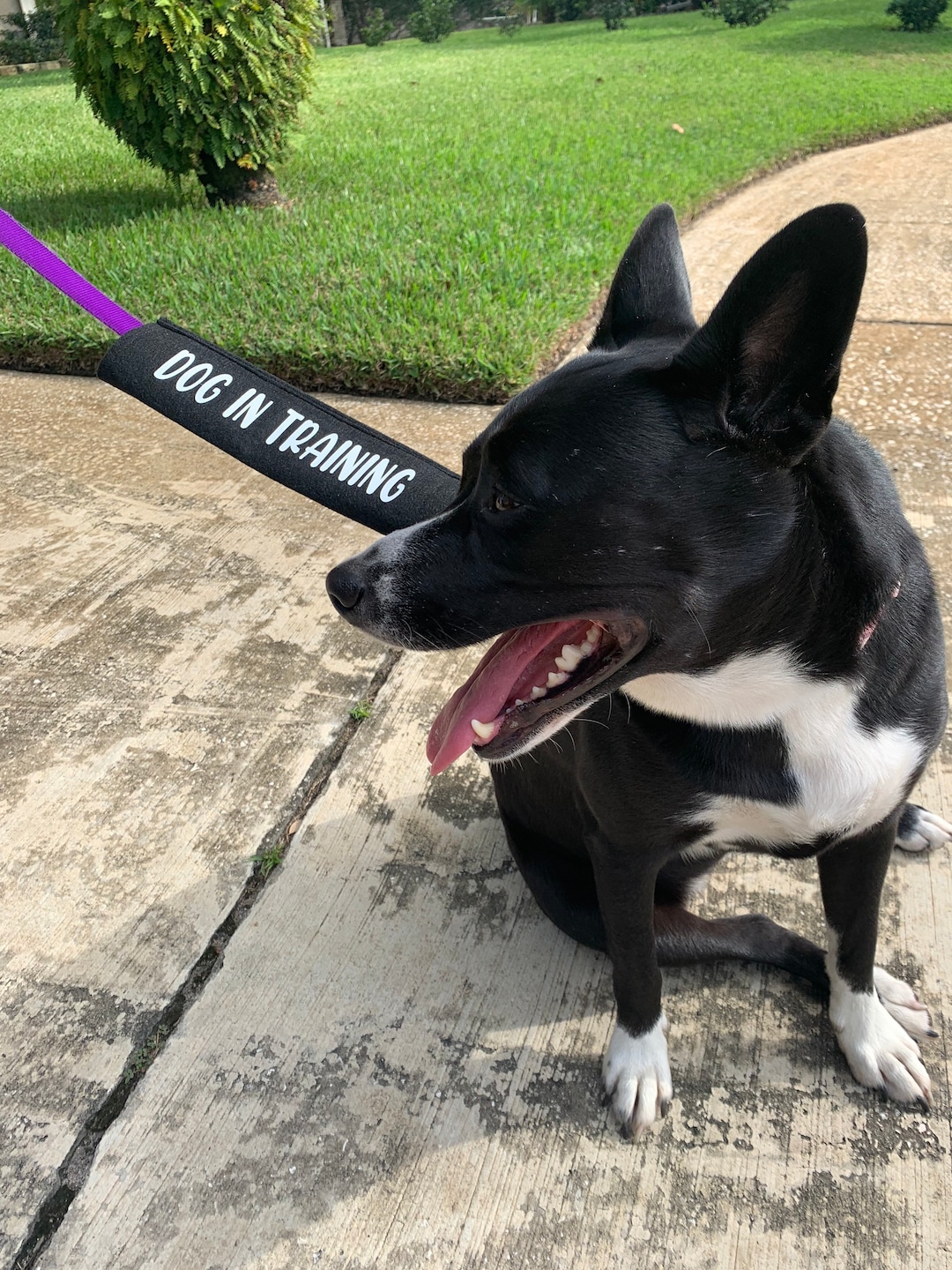 Dog Leash Cover, Custom Leash Wrap, Custom Leash Sleeve Text is on Both