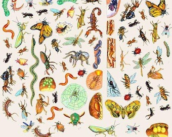 Creepy Crawlers Bugs Insects Spiders Felt Figures Flannel Board Story Set Felt Board Stories Kids Preschool Education