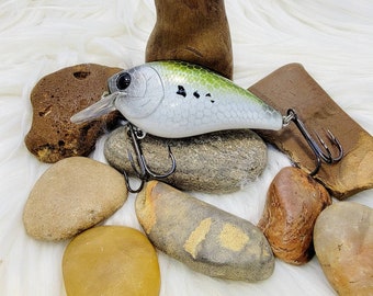 AIR Lot de 3 leurres de pêche segentés pour bar, truite, appâts