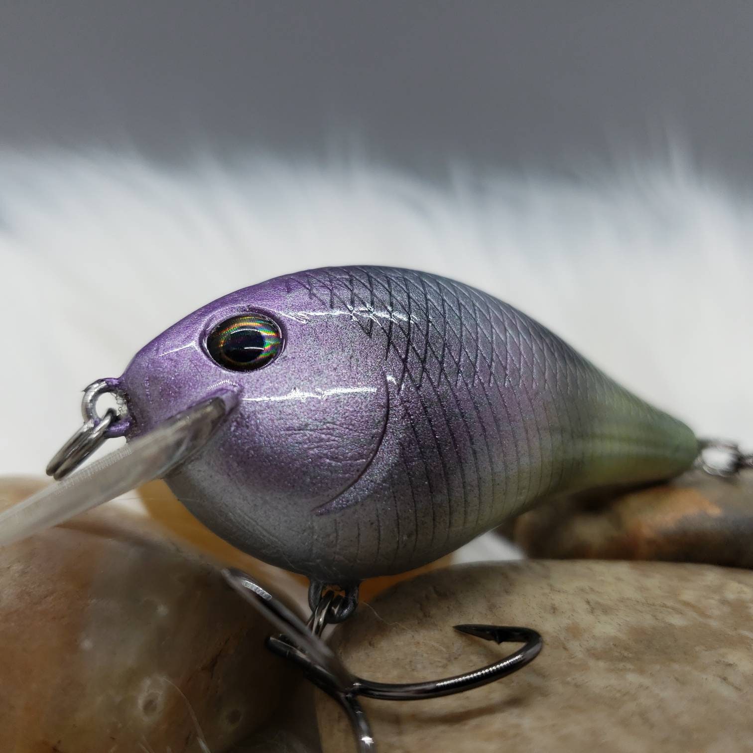 Texas Tilapia Custom Painted Fishing Lure. Crankbait Choose Etsy