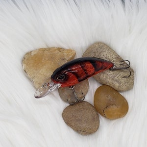 Blaze craw Crankbait.  Red, orange and black. Bass fishing lures, crank bait, fishing lure.