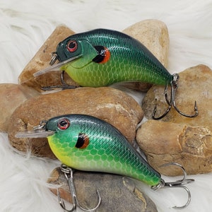 May include: Two fishing lures with a green and yellow scale pattern, red eyes, and silver hooks. The lures are resting on a bed of rocks and white fluffy material. The lures have a clear plastic lip.