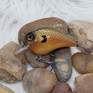 Gold Rush Crank Bait custom painted crankbaits, bass fishing lures. Gifts for him, fishing gifts for husband.