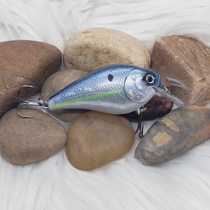 Royal shad holographic 1.5 squarebill crankbait.