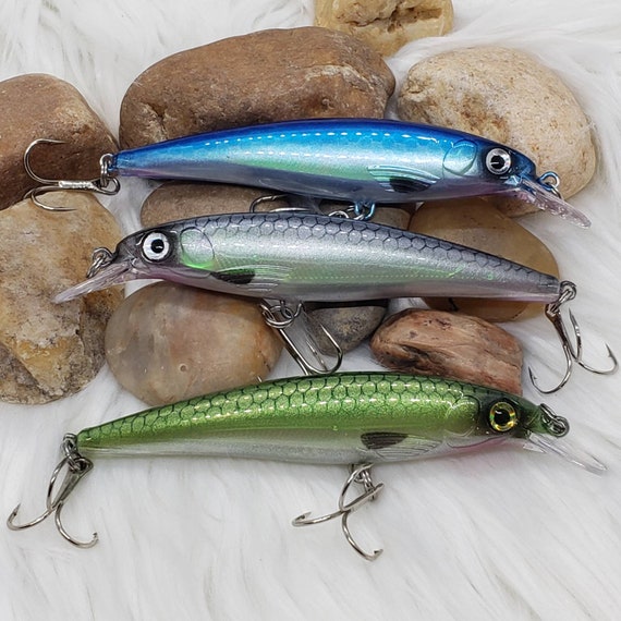 Holographic 120 Jerkbait Fishing Lure. Saltwater Fishing or Freshwater  Fishing. Blue Shad, Green Shad or Natural Shad. 