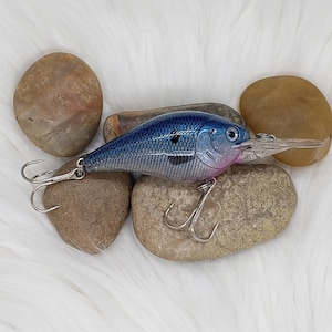 Clear Blue Shad custom painted fishing lure, crankbait. Bass fishing, fishing.