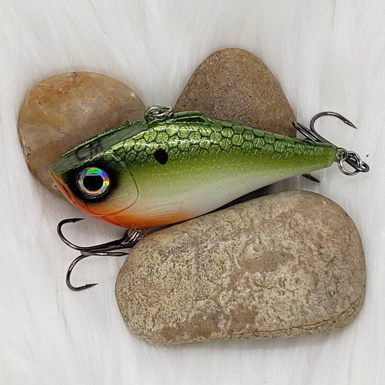 Leurre Vintage Rebel One Knock – Tenn Shad, Crankbait, Non Pêché, USA