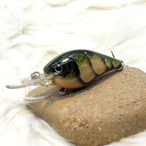 Moss Craw Crankbait, custom painted fishing lure. Bass fishing, custom lures. Great Gift.