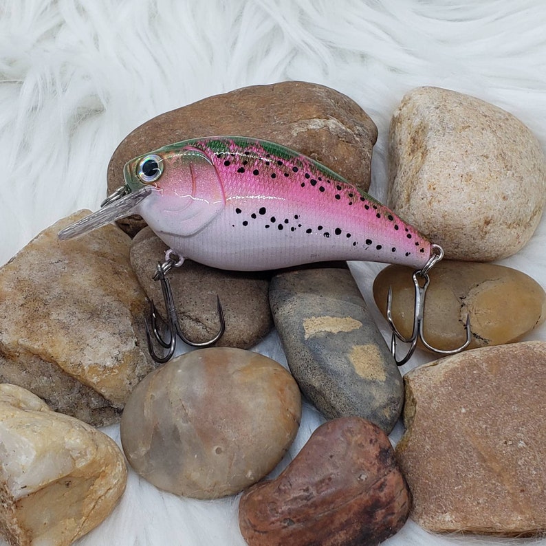 Rainbow Trout Custom Painted Crankbait Fishing Lure. Custom Etsy