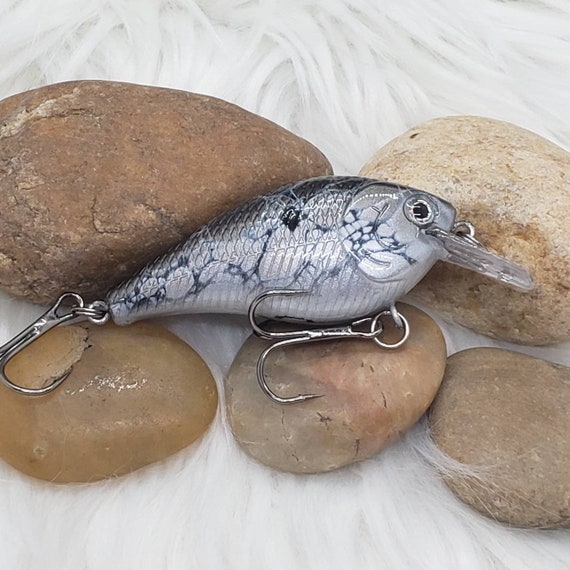 Custom Painted Crankbait Fishing Lure. Natural Shad, Deep Diver, Wake Bait.  Bass Fishing Lures, Gifts for Him, Gifts for Her. -  Canada