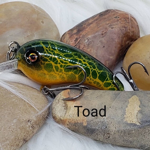 Custom Panfish Squarebill Crankbait Fishing Lure. Choose Your Color, Toad,  Black Toad or Burnt Toad. Handpainted Lures, Gifts for Him. 