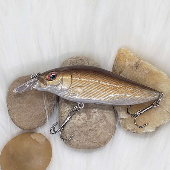 bass shad lures Saltwater Assassin Texas Roach 5in 8 ct rigged to reach desired depth Best Winter Bass Lures: 4