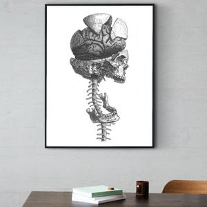May include: A black and white ink illustration print in a thin black frame. The artwork depicts an anatomical study of a human skull and brain with the cranium opened into segments, revealing the brain structure above a detached jaw and spine.