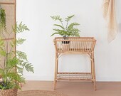 Rattan Interior plant stands for indoor plants