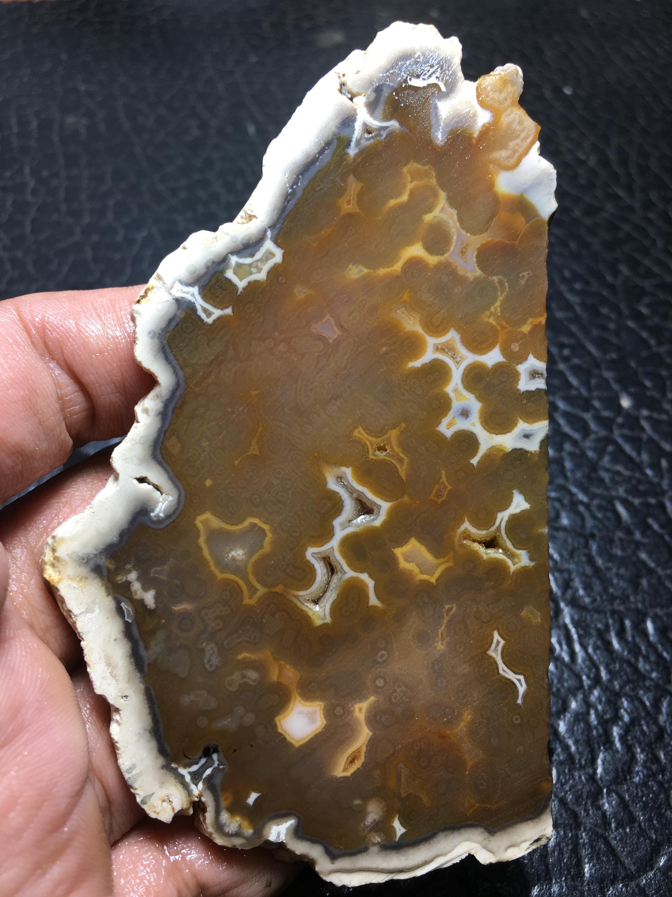 Coral geode - Etsy 日本