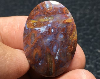 Cabochon bicolore racine pétrifiée, 30 x 21 x 6 mm