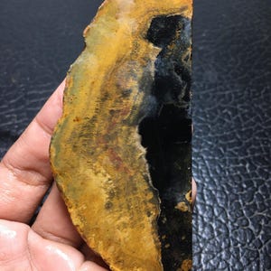 Bicolor Petrified Palm Wood Unpolished Slab 105x46x7 mm