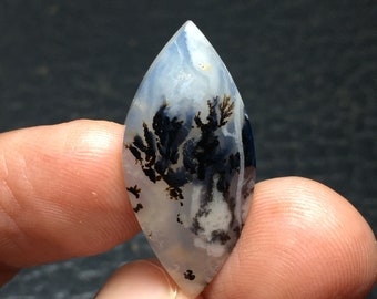 May include: A teardrop-shaped agate cabochon with a white and gray background and black dendritic patterns.