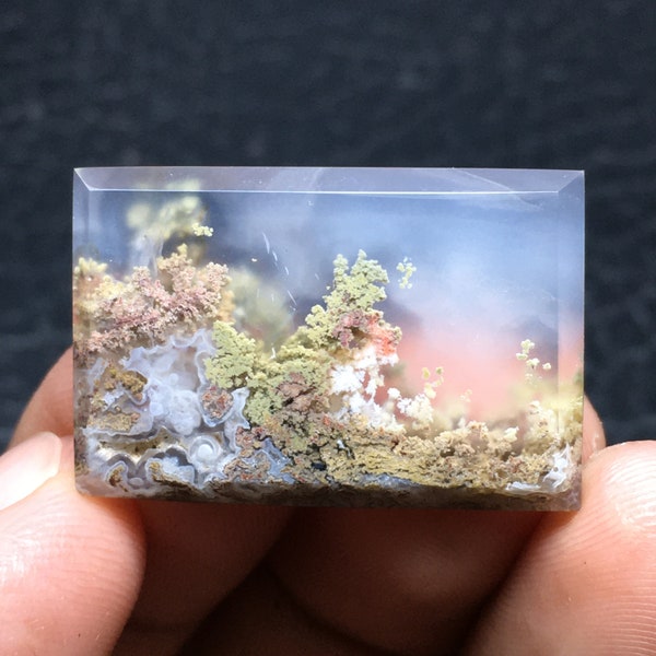 Landscape Moss Agate Cabochon 28x19x4 mm