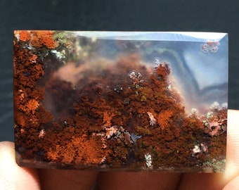 Röd Mossagat Cabochon 36x23x5 mm