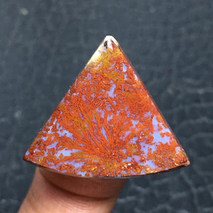 Può includere: Un cabochon di agata triangolare, arancione e bianco, con un motivo dendritico. L'agata ha una superficie liscia e lucida.