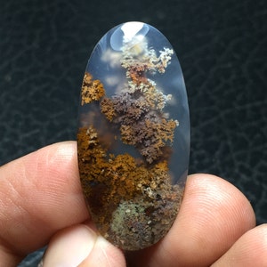 May include: A cabochon of agate with a dendritic pattern in shades of brown, purple, and white. The agate is oval shaped and has a smooth, polished surface.