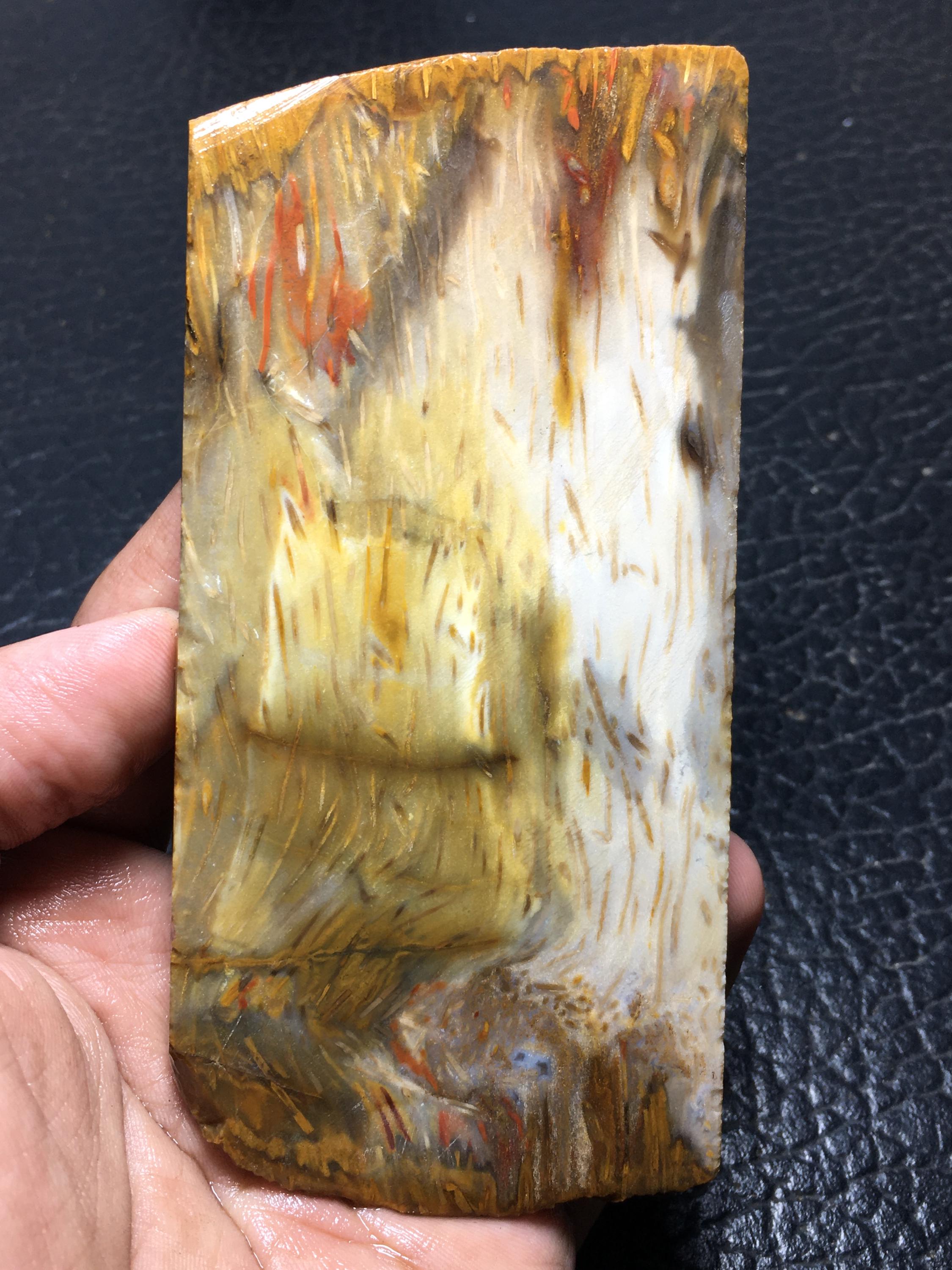 ヤシの木の化石 化石化したヤシの木の未研磨板 120x58x10 mm - Etsy 日本