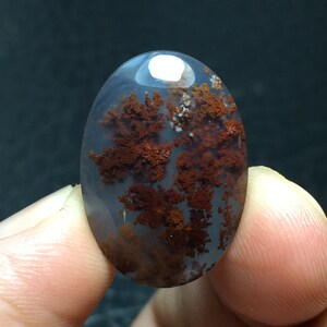 Scenic Red Moss Agate Cabochon 24x16x6 mm