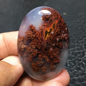 Scenic Moss Agate Cabochon 46x32x9 mm