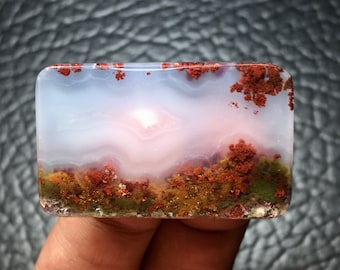 Cabochon pittoresque en agate mousse (38 x 23 x 6) mm